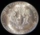 1988 American Silver Eagle Bullion Coin Rare Key Date Choice Gem Bu Nr Silver photo 3