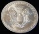 1998 American Silver Eagle Bullion Coin Rare Key Date Choice Gem Bu Nr Silver photo 2