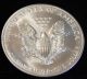 1998 American Silver Eagle Bullion Coin Rare Key Date Choice Gem Bu Nr Silver photo 3