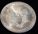1997 American Silver Eagle Bullion Coin Rare Key Date Choice Gem Bu Nr Silver photo 3