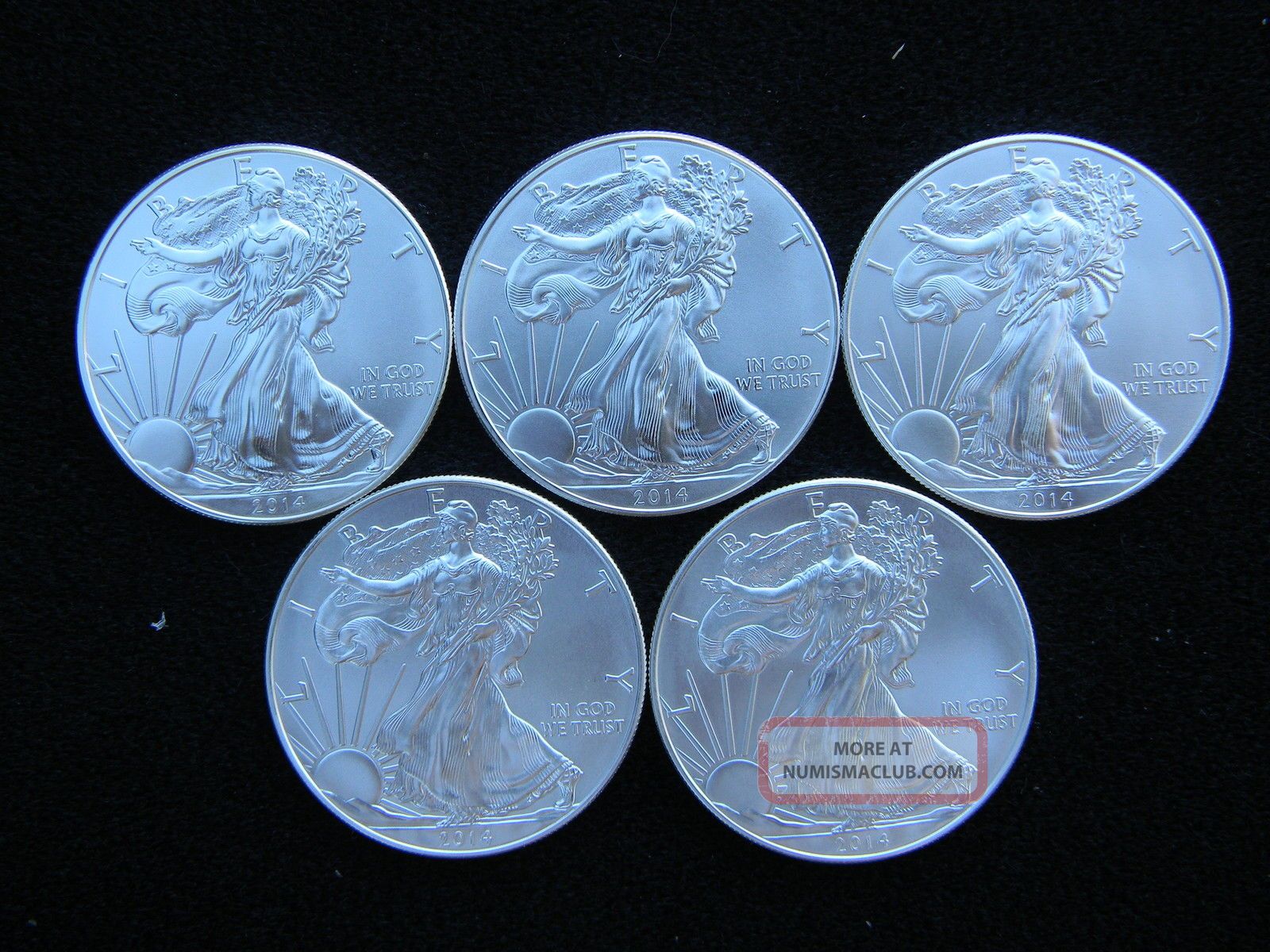 2014 (5) 1 American Silver Eagles Gem/bu
