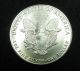 1987 Silver Eagle Dollar American United States Us Coin Bullion Uncirculated 1oz Silver photo 1