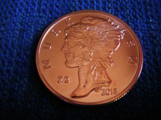 2018 Zombucks Murk - Diem 1 Oz.  999 Copper Coin,  Currency Of The Apocalypse photo