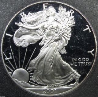 2001 - W U.  S Proof 1 Oz Bullion Fine Silver Eagle Coin Deep Cameo photo