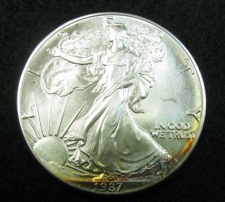 1987 Silver Eagle $1 American Us Coin Bullion Uncirculated 1oz - Slighty Toned photo