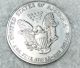 2004 Walking Liberty American Eagle 1 Oz Silver Dollar Coin Silver photo 1