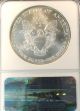 1996 Eagle Silver $1.  00 Ngc Ms 69 Silver photo 1