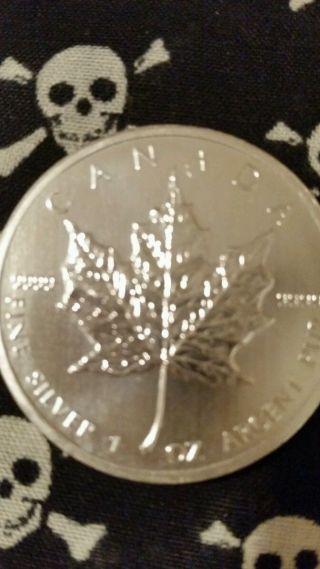 2011 Rcm.  9999 Silver Maple From The Tube.  1 Troy Oz photo