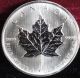 2006 Canada $5 Silver Maple Leaf Bullion Coin Silver photo 1