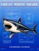 2014 1/2 Oz Silver Australian Great White Shark - Ready To Ship Coins: World photo 8