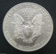 1999 Sae Silver American Eagle 1 Oz Coin Silver photo 1