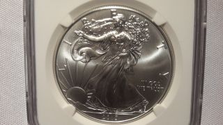 2013 $1 Silver Eagle Ms70 photo