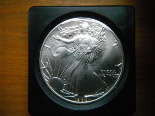 1988 American Silver Eagle.  1oz Silver Eagle.  Great As Christmas Gift.  8 photo