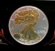 2002 American Silver Eagle Dollar Coin - Colorized / Enhanced With 24kt Gold Silver photo 1