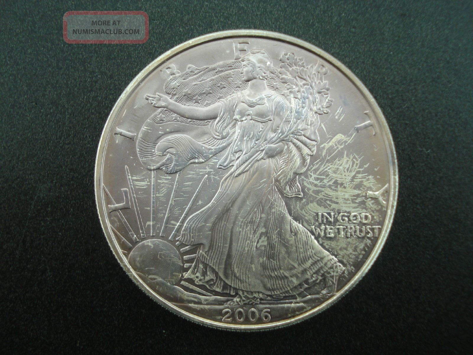 2006 american eagle silver dollar