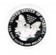1996 P Silver Proof American Eagle Us One Ounce Coin And Silver photo 2