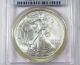 - 2006 - American Eagle $1 Silver Bullion Coin Pcgs Ms69 Silver photo 1
