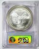 - 2006 - American Eagle $1 Silver Bullion Coin Pcgs Ms69 Silver photo 3
