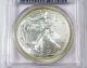 2006 American Eagle $1 Silver Bullion Coin Pcgs Ms69 Silver photo 1