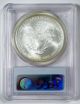 2006 American Eagle $1 Silver Bullion Coin Pcgs Ms69 Silver photo 3