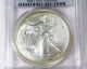 » 2006 « American Eagle $1 Silver Bullion Coin Pcgs Ms69 Silver photo 1