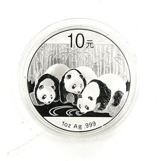 2013 Silver Panda photo