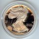 1995 - P American Eagle Silver Proof Coin Silver photo 1