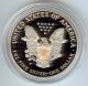 1995 - P American Eagle Silver Proof Coin Silver photo 2