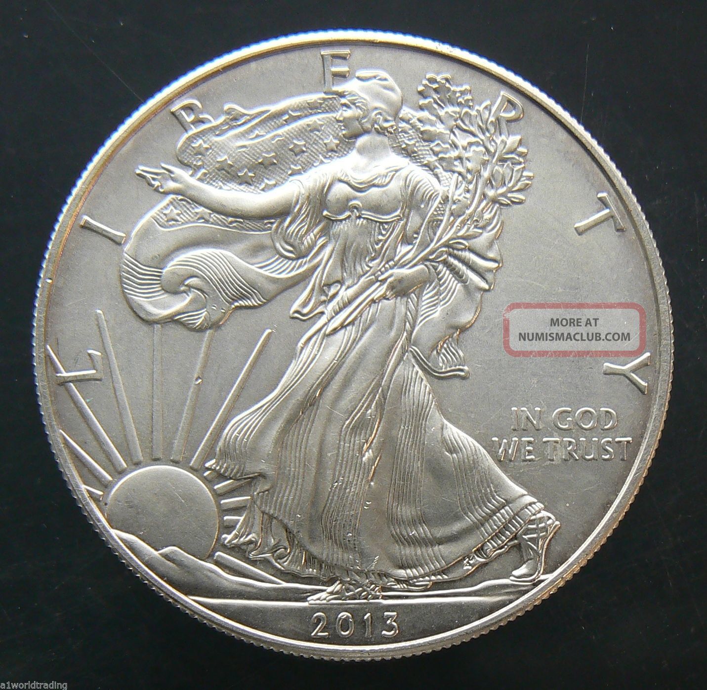 2013 silver eagle