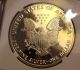 1991 - S Pf - 70 Ultra Cameo Proof Silver American Eagle Ngc : A Real Breathtaker Silver photo 2
