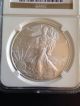 2013 Ms70 Ngc Silver Eagle Silver photo 3