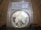 1986 S American Silver Eagle - Pcgs Pr 69 Dcam 1st Year Silver photo 2