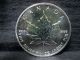5 Dollars Elizabeth Ii.  9999 Silver Proof Coin Canada 1989 1 Troy Oz Ga9520 Silver photo 1