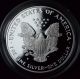 1995 - P Proof Silver Eagle Packaging - 6c86 Silver photo 2