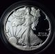 1988 - S Proof Silver Eagle Packaging - 6c85 Silver photo 1