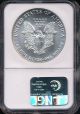 1987 Silver American Eagle Coin Ngc Ms 69 Aeg1627 Silver photo 1
