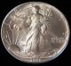 1992 American Silver Eagle Bullion Coin Rare Key Date Choice Gem Bu Nr Silver photo 1