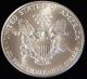 1992 American Silver Eagle Bullion Coin Rare Key Date Choice Gem Bu Nr Silver photo 2