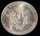 1992 American Silver Eagle Bullion Coin Rare Key Date Choice Gem Bu Nr Silver photo 3