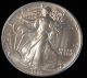 1991 American Silver Eagle Bullion Coin Rare Key Date Uncirculated Nr Silver photo 1