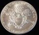 1989 American Silver Eagle Bullion Coin Rare Key Date Choice Gem Bu Nr Silver photo 3