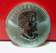 2014 1 Oz Canadian.  9999 Silver Peregrine Coin Brilliant Uncirculated Silver photo 1