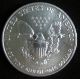 1991 American Silver Eagle 1 Troy Oz.  Bullion Coin W/ Airtite Case 12106 Silver photo 1