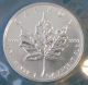 1994 Canada Silver Maple Leaf Coin 1 Oz.  9999 Fine Silver Bu 66 Silver photo 1