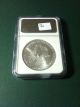 Ngc Ms69 1999 Silver Eagle Silver photo 2