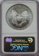 Ngc 2003 American Silver Eagle Dollar $1 Coin Ms69 Usa 1oz 999 Uncirculated Silver photo 1