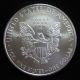 2010 American Silver Eagle 1 Oz.  Bullion Coin W/ Airtite Case 121015 Silver photo 1