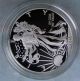 2013 W Enhanced Sp Proof Strike Silver Eagle,  From 75th West Point Anniversary Silver photo 1