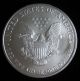 2005 American Silver Eagle 1 Troy Oz.  Bullion Coin W/ Airtite Case 12104 Silver photo 1
