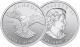 1 Oz Peregrine Falcon Royal Canadian Silver Birds Of Prey Series Coin Silver photo 1